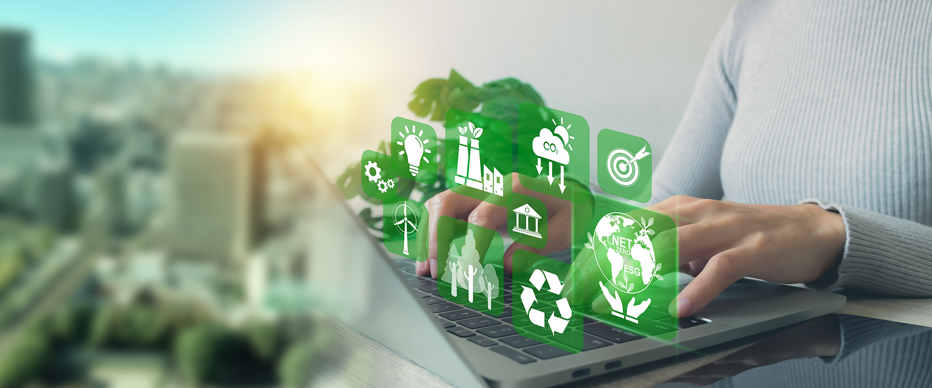 Environmental Consultancy